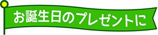 お誕生日のプレゼントに